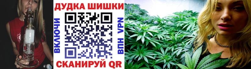 Бошки Шишки планчик Купить закладки Киржач